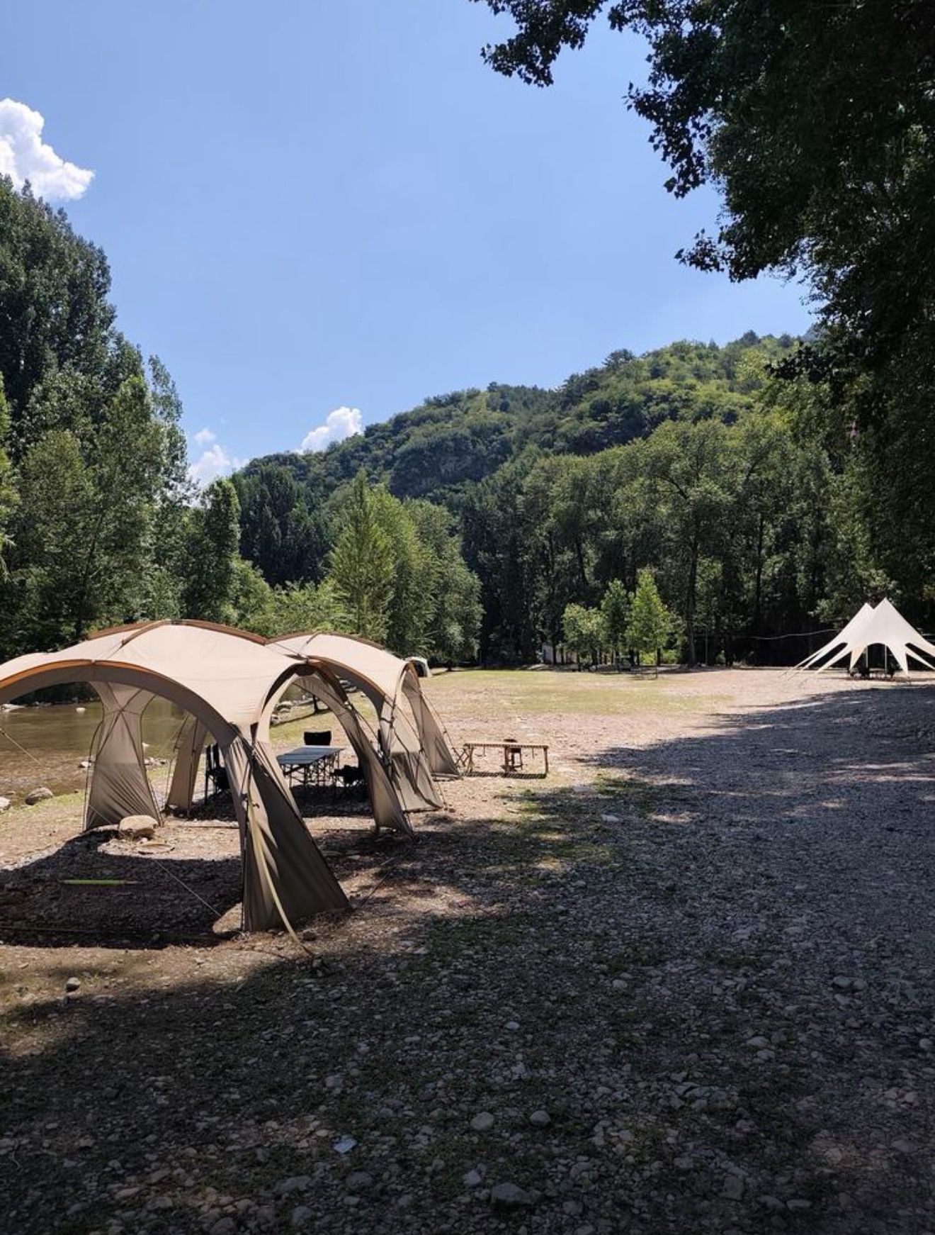 野鸭露营地环境 1